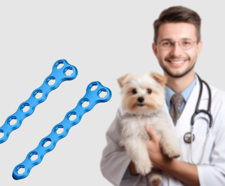Veterinary Implants & Instruments