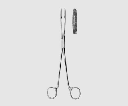 Sponge Holding Forceps