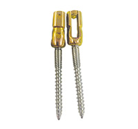 Orthopedic and Trauma Implants