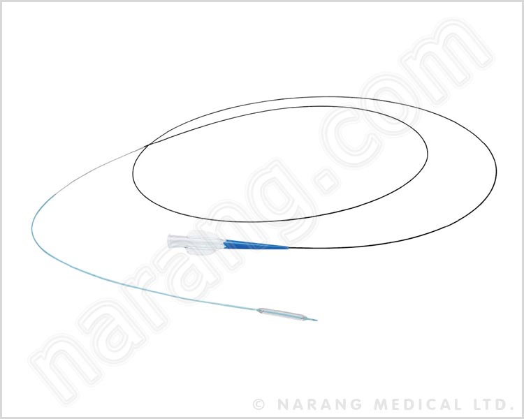 PTCA Balloon Dilatation Catheters