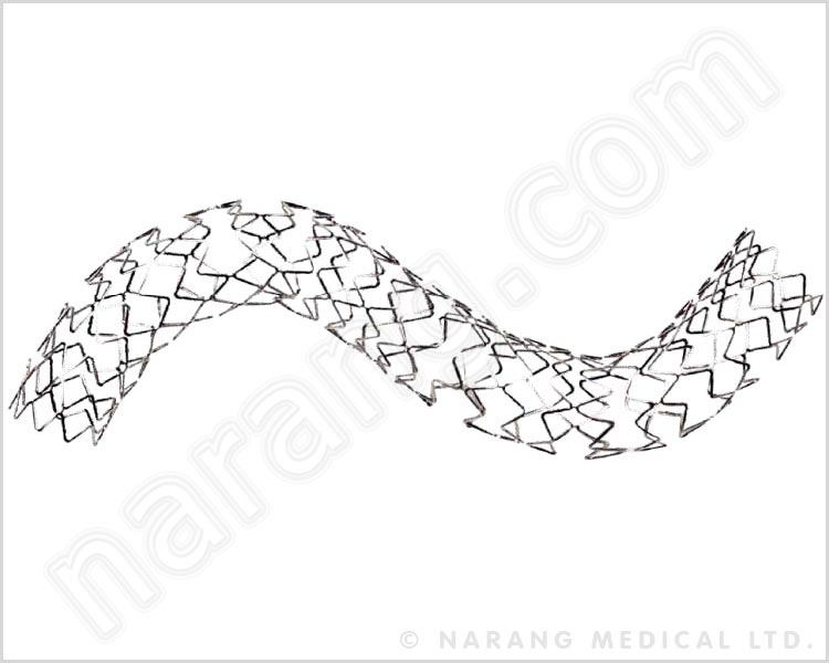 Stainless Steel Coronary Stent System